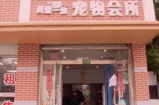 寄养变弃养！小伙把大型犬送到宠物店就不管了
