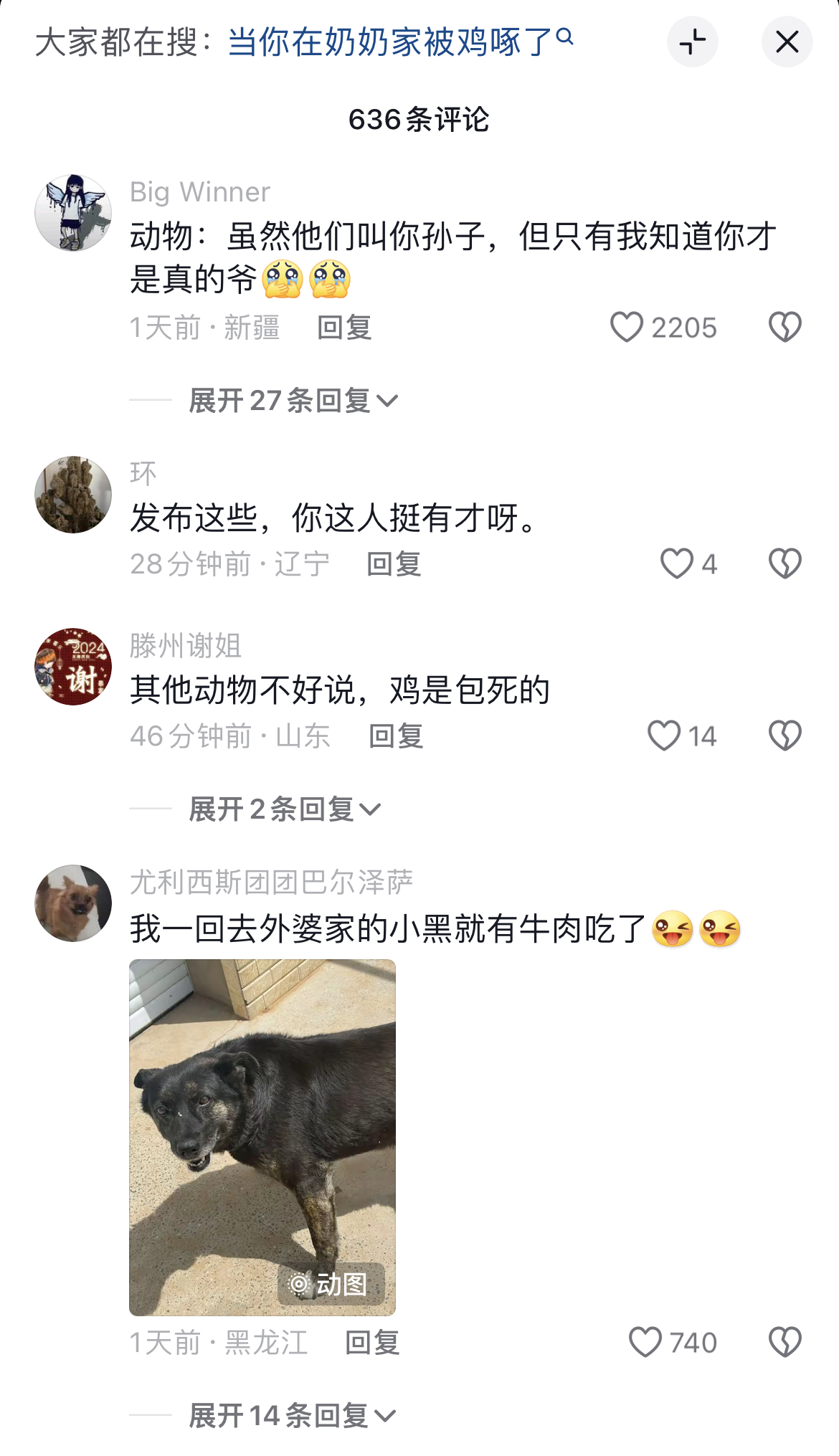 当你去外婆家时动物们的反应，真的会笑死~