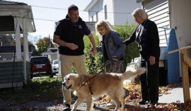 感 | 舍命相救！8岁黄金猎犬舍身挡在校车前，只为了避免主人受到伤害