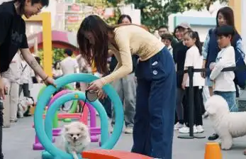 深圳龙岗萌宠主题活动以“小萌宠”撬动“大经济”