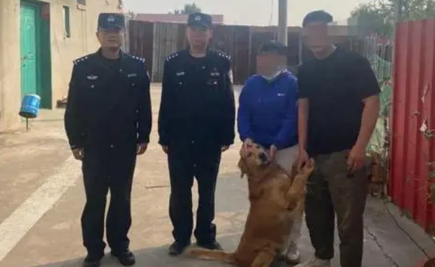 青岛高新公安抓获偷狗嫌疑人帮群众找回爱犬