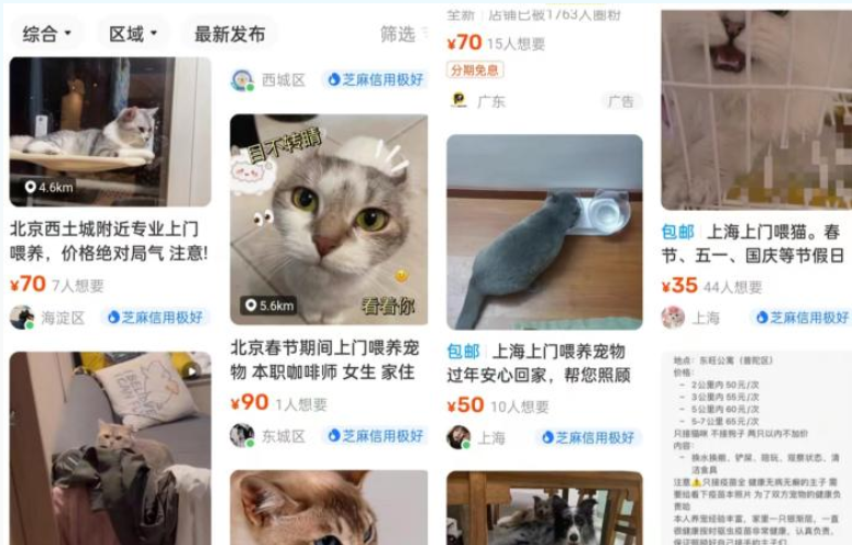 节前宠物寄养需求升温，部分宠物店寄养价格上涨