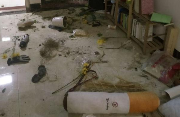 二哈拆家惹恼主人，于是主人想出这招，从此二哈再也没拆过家！ 