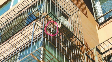 为救小猫连打火警电话 社会紧急救助资源该不该随意动用？