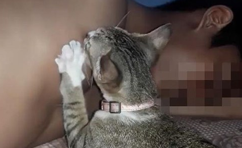 女孩和男友睡觉时听见吸吮的声音，睁眼一看大吃一惊！ 