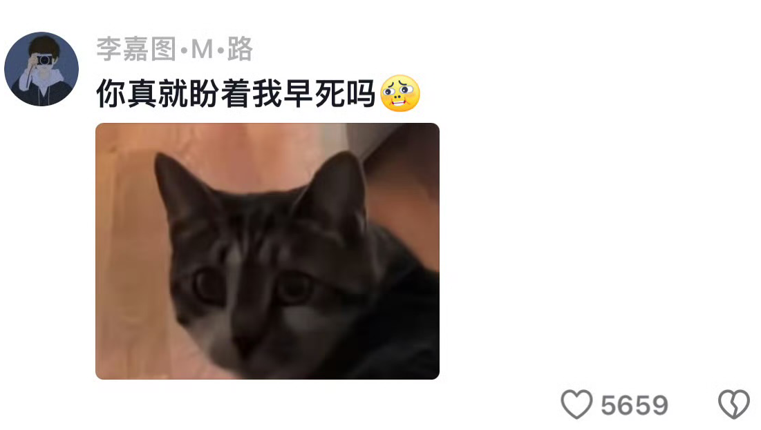 小猫对峙在后面学讨好的叫声，快来看看