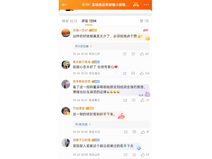奇遇记！孟佳路边救被撞小猫情绪崩了