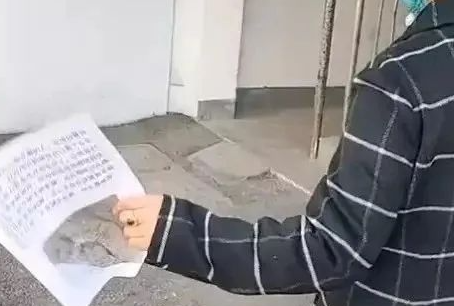 浙江一宠物猫失而复得主人却气炸：小区邻居捡到，猫快饿死又丢掉