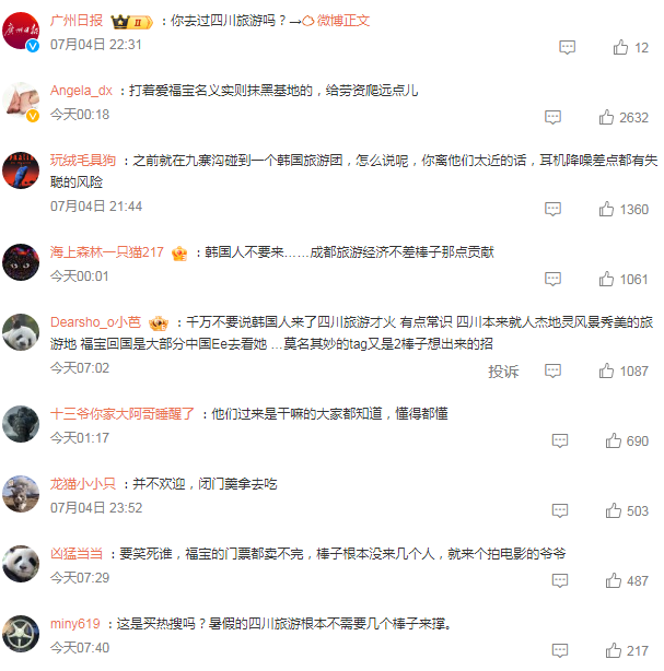 大熊猫福宝带火韩国赴四川旅游，归国受热捧！