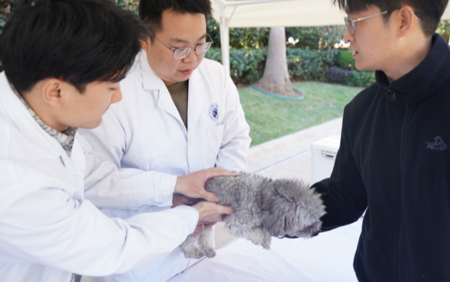 不出小区就能做宠物体检？这个“社区义诊行”玩出新花样