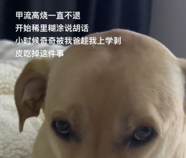 妹子发高烧哭着说胡话，想起童年小狗：爸爸，你为什么要吃它