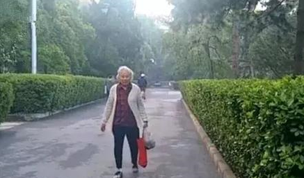 八十多岁老奶奶，每天遛弯喂养流浪猫，坚持六年却被说成没爱心？