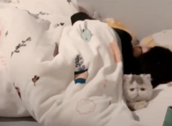 女儿不完成作业被教训，回房间赌气，妈妈一进房间瞬间被萌翻！ 