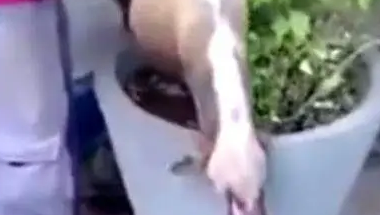 狗狗睡的太死，被人提起来扔到花盆里，醒来那一刻狗狗蒙了