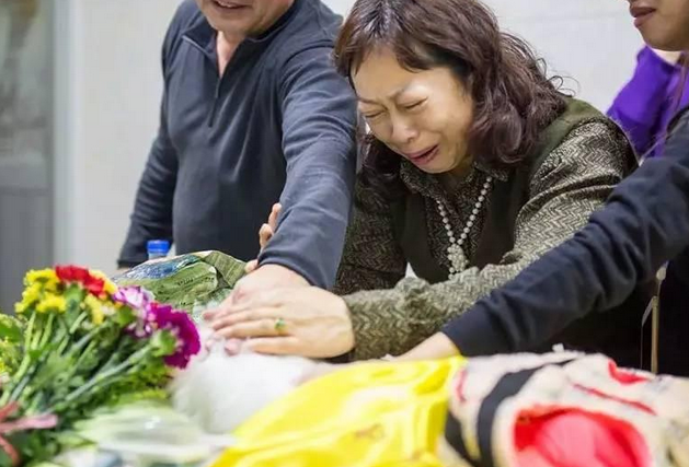 宠物“身后事”如何处理？呼唤宠物殡葬规范化
