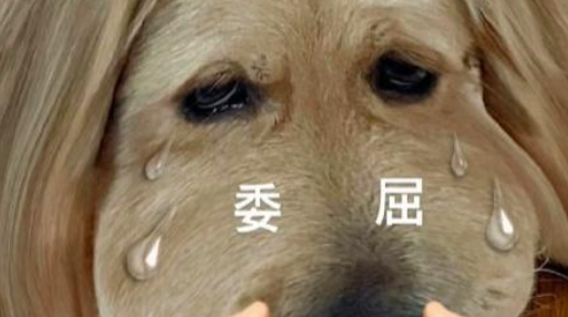 妹子遛狗被大妈骂，吓得一人一狗边哭边跑…大窝囊带小窝囊