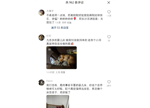 在垃圾站给狗捡了个床，真的利用上了