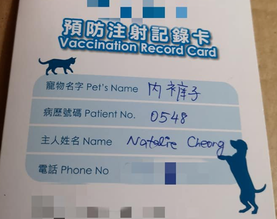 主人带猫去医院，拿到检查报告时忍不住爆笑：她叫摇粒绒，不是姚丽容！