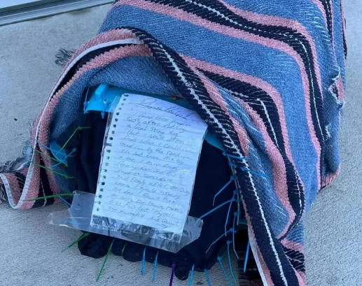 一窝奶狗被装箱子遗弃在收容所门口，里面留下一封信吐露真心，内容太心酸...