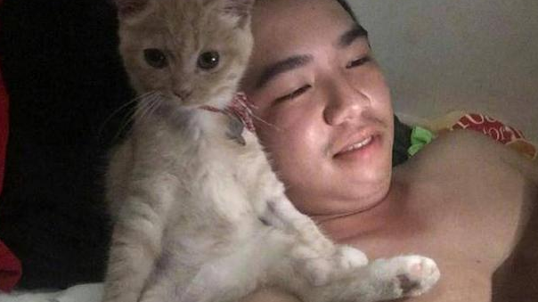 男主让猫咪一起追剧，五分钟还不到就对上眼，一看表情忍不住笑了 