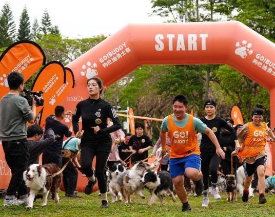 2025狗巴迪勇士赛首站鹏城开锣 超300组人犬拍档竞技