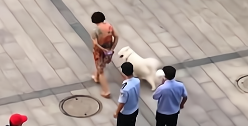 扬州大妈拴绳遛狗还被喊话，爱狗人士怒了，保安：下次，就没收狗 
