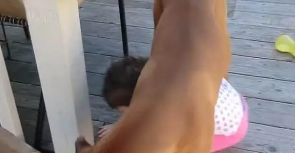 狗狗发现宝宝爬楼梯有危险，上前做出的反应让人暖哭