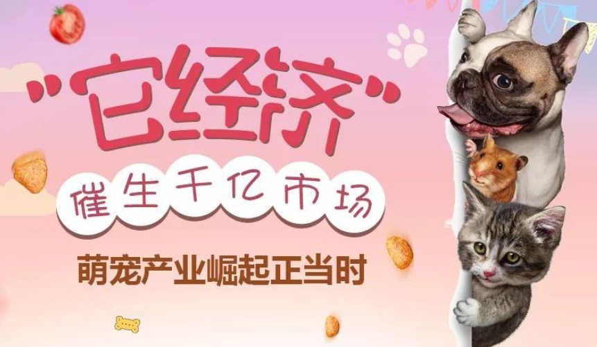 宠物经济催生市场新需求