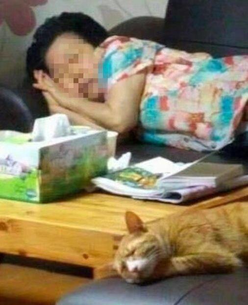 奶奶不疼孙子疼橘猫，看完这个睡姿后，总算是知道为啥了