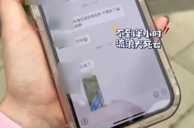 闹大了，流浪狗咬伤女孩，保安无奈杖毙