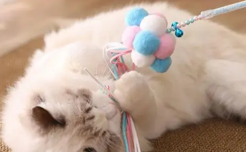 逗猫棒