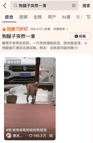 狗腿子突然一滑，网友热议“稳如老狗”