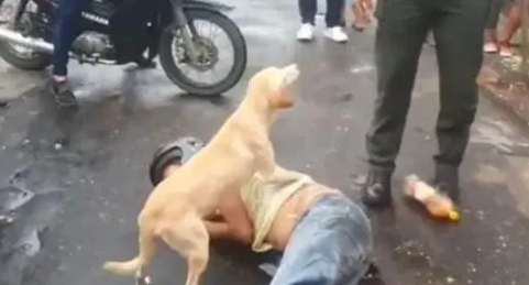 男子倒在大街上，忠心狗子护主，不让人靠近，警察：我们想救他！