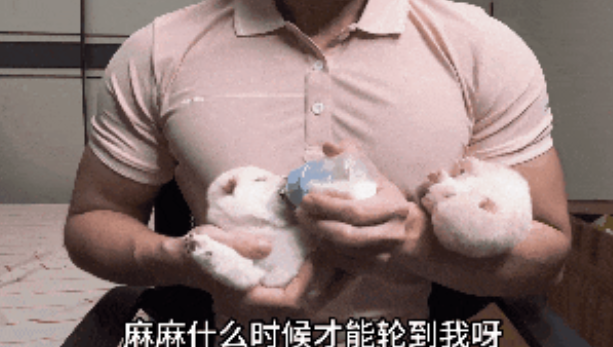 妹子发警犬视频被夸帅气，我飞快点进去，结果…被特警帅一脸