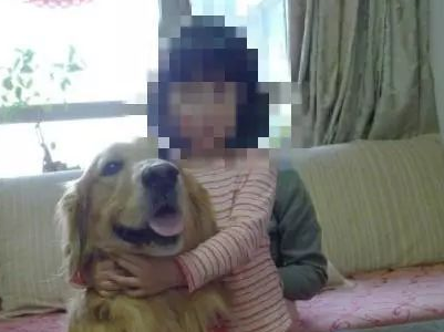 忠心的金毛担心小主人，竟独自去接主人放学，真是太暖心了！