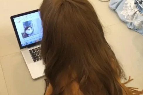 二哈戴假发装扮成女主人，看到狗子正面时被逗笑了