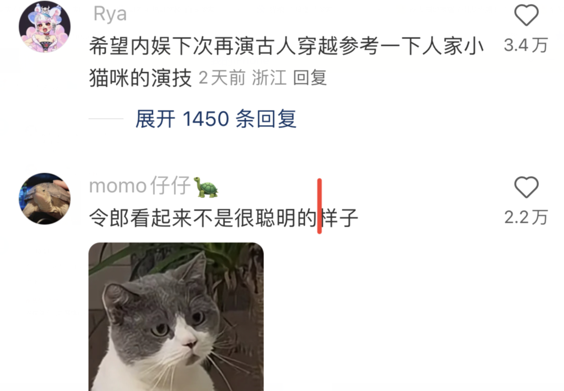 内娱演不出的震撼让小猫演出来了，看看吧