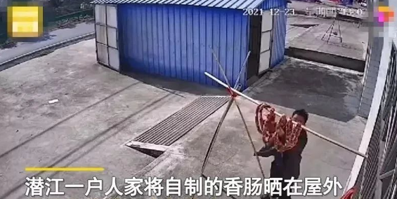 湖北一男子白天上门偷香肠，还被杆子砸到头，户主：误以为狗吃了