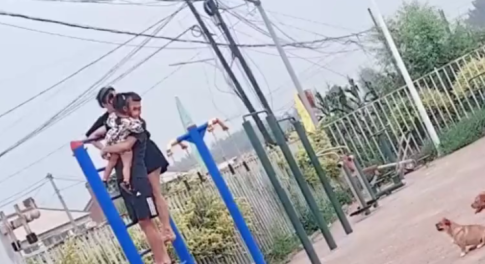 辽宁沈阳：一家三口散步遇见一群狗，被吓得爬上健身工具瑟瑟发抖