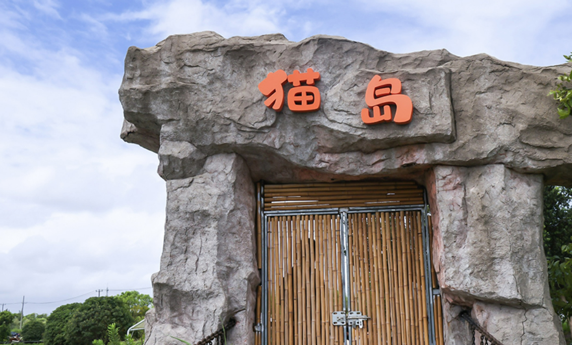 上海首个流浪猫管理中心、导盲犬基地成立，退役警犬开放领养