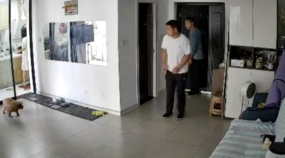 两名陌生男子走到家里来，狗狗立马起身吼叫
