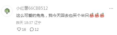 主人逗兔子，给它吃香蕉皮，惹笑众人！