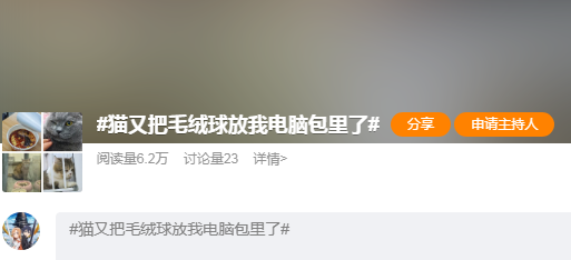 猫又把毛绒球放我电脑包里了，这就是幸福吗！