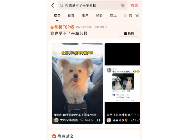 宠物也需旅途关怀：狗狗舟车劳顿显疲态
