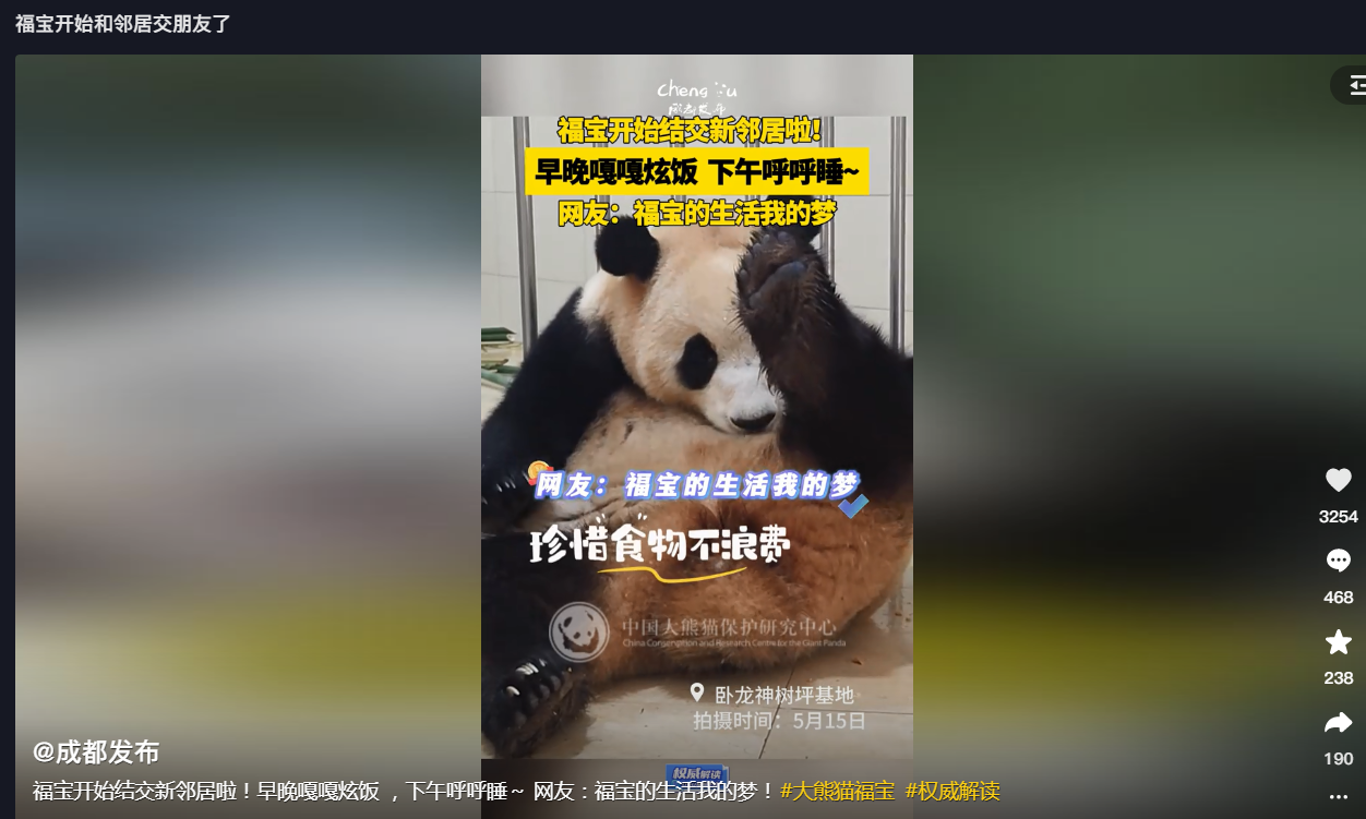  福宝开始和邻居交朋友了，看样子回国的生活很惬意