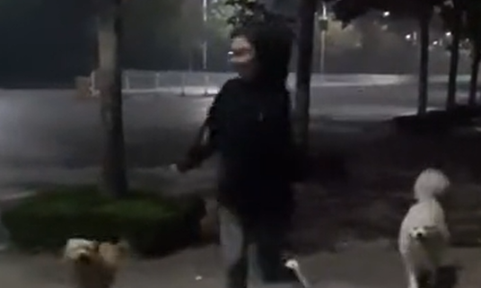 山东女生和狗赛跑，摔倒后被妈妈无情嘲讽，网友：输了比赛还丢人