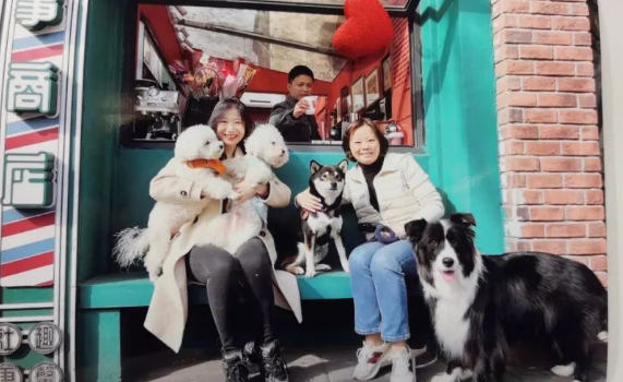 打造文明IP，上海愚园路上这支“汪汪队”有爱有担当