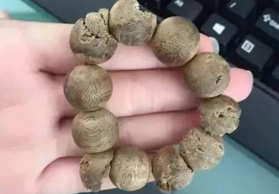 价值2万的沉香被哈士奇拿来磨牙，想成为一顿狗肉汤了？
