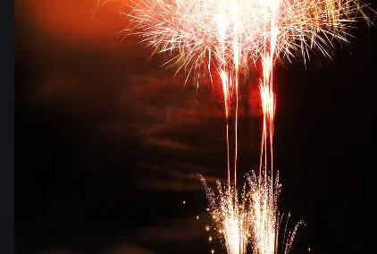 放鞭炮对狗狗的影响 鞭炮声多狗狗危害非常大
