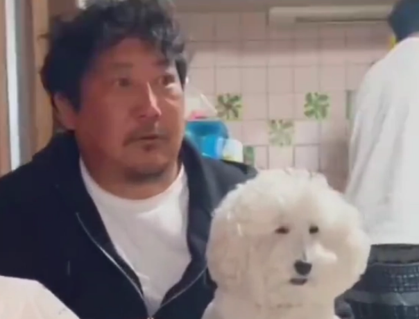 狗狗长得可以有多像主人？网友：不用验DNA了，这就是亲生的